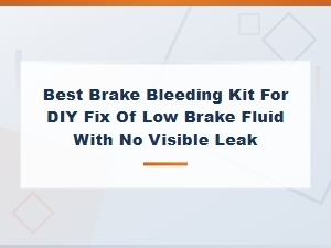 Best Brake Bleeding Kit for Diy Fix of Low Brake Fluid with No Visible Leak