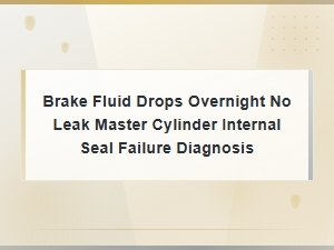 Diagnosing Master Cylinder Internal Seal Failure